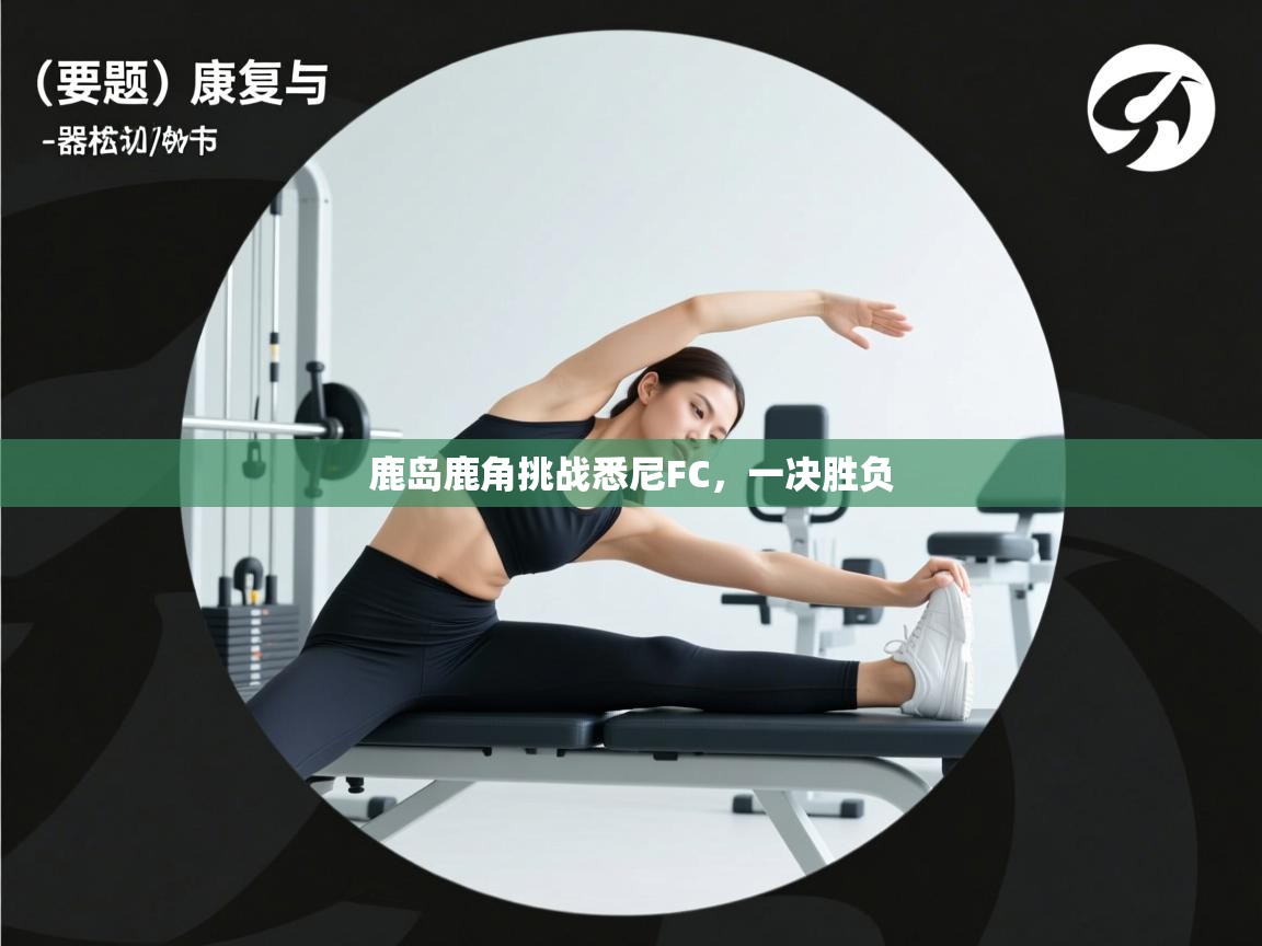 鹿岛鹿角挑战悉尼FC,一决胜负 第1张